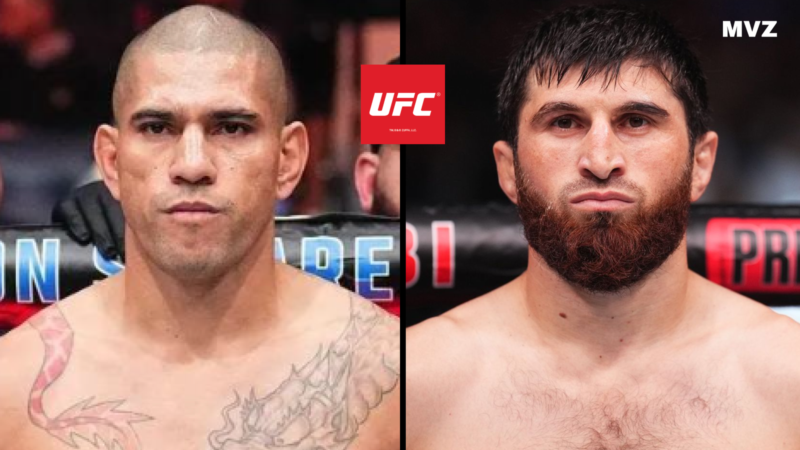 Alex Pereira et Magomed Ankalaev pour leur combat de MMA à l’UFC 313