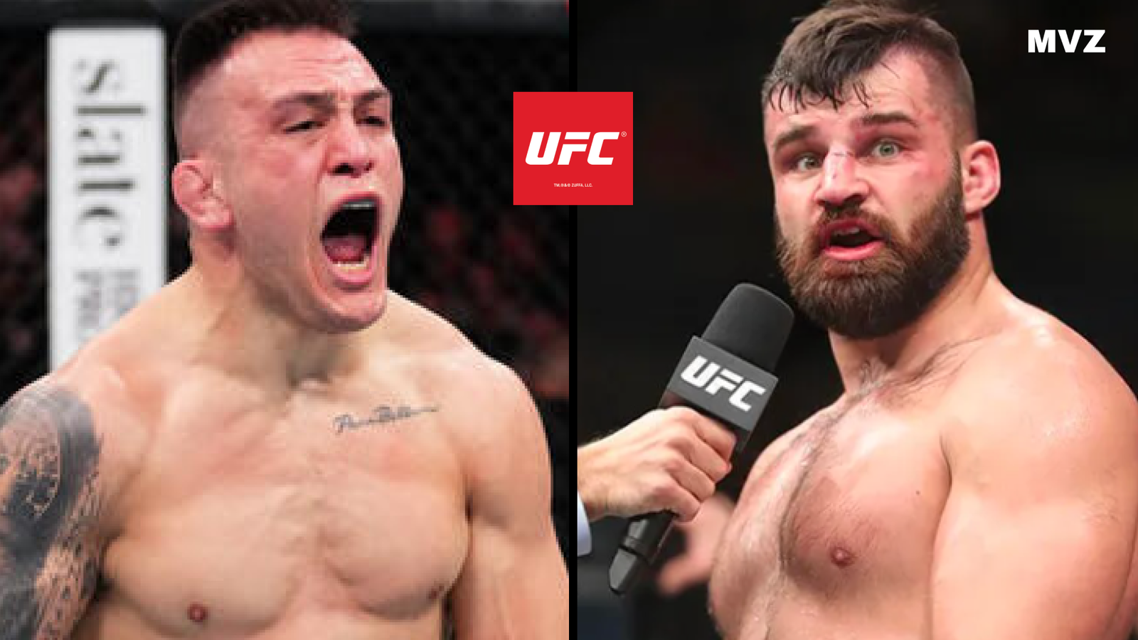 Cody Brundage face à Julian Marquez pour leur combat de MMA à l’UFC Fight Night 253