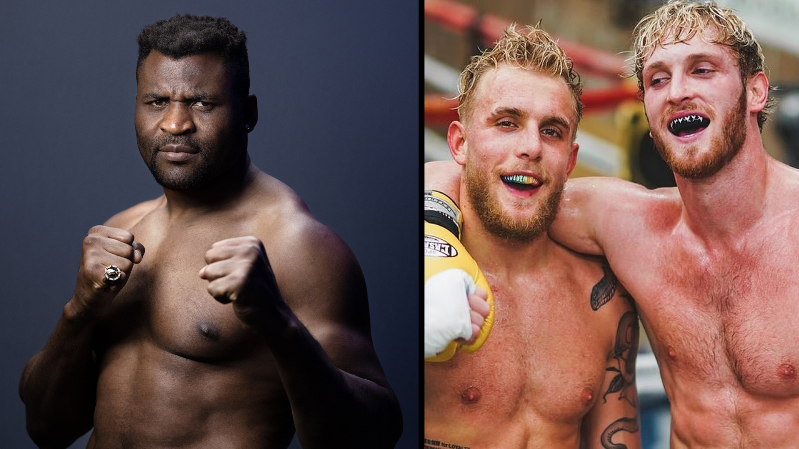 Francis Ngannou veut affronter Jake et Logan Paul dans une cage de MMA