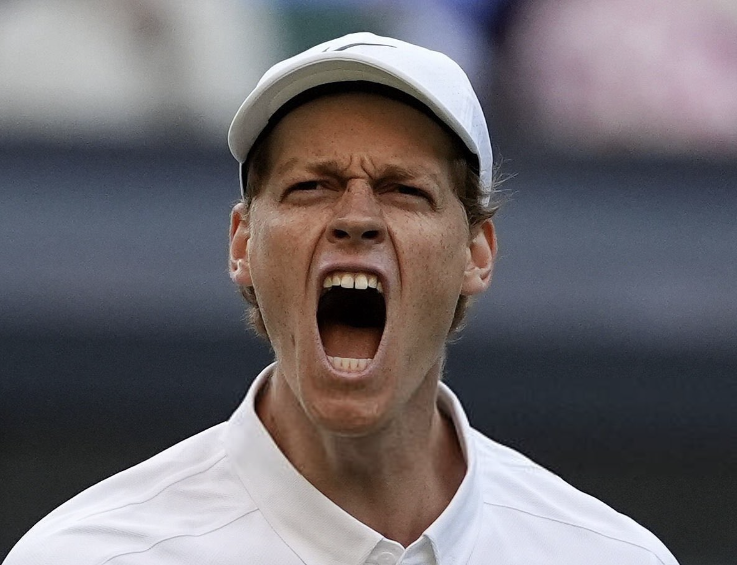 Jannik Sinner explose de joie après sa victoire en finale de Wimbledon 2025 face à Carlos Alcaraz