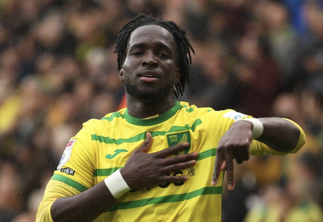 Jonathan Rowe célèbre son but avec Norwich City en Championship