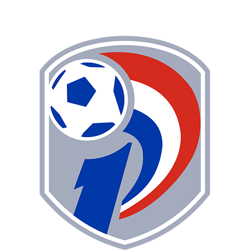 Logo officiel de la Primera División au Paraguay championnat de football