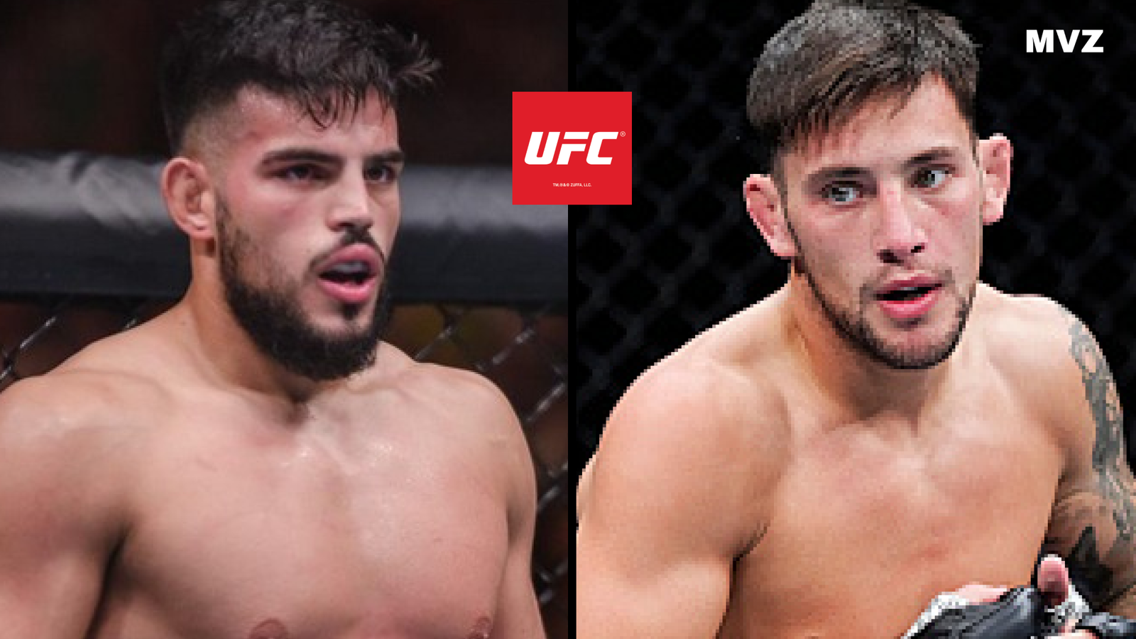 Nasrat Haqparast face à Esteban Ribovics pour leur combat de MMA à l’UFC Fight Night 253