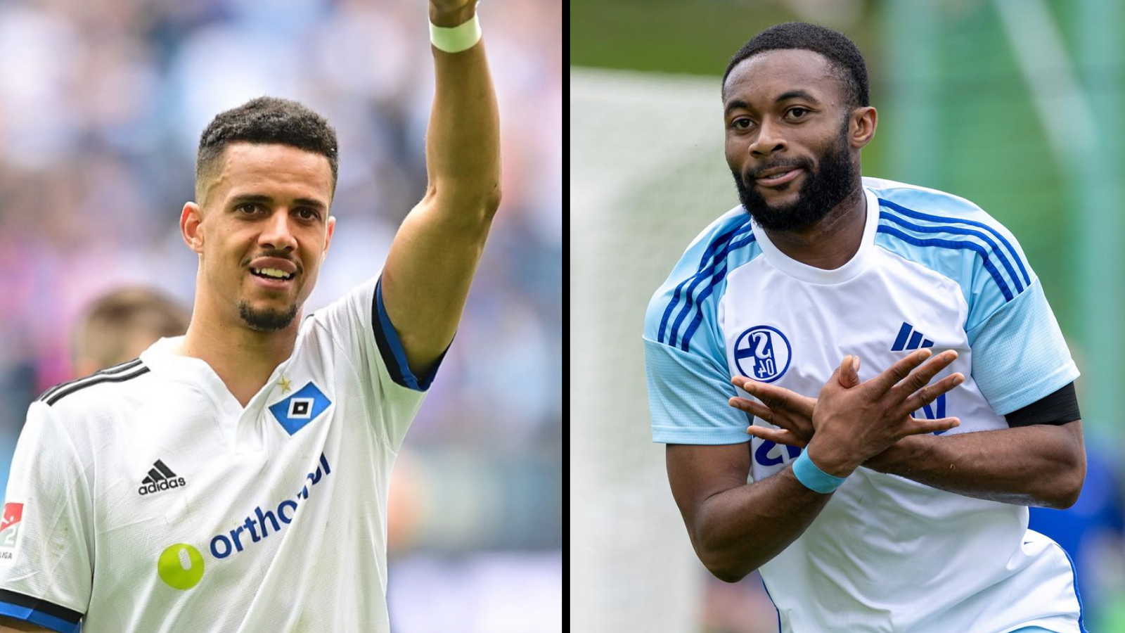 Hamburger SV vs Schalke 04 : Infos sur les Équipes, Billets et Pronostics