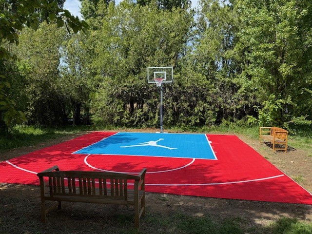 Pourquoi opter pour un terrain de basket sur-mesure ?